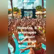 Постер книги Новелла. В аквапарке срывают школьный флешмоб