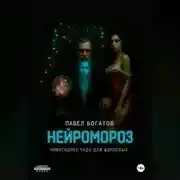 Постер книги Нейромороз