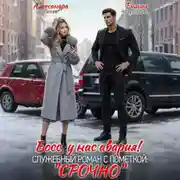 Постер книги Босс, у нас авария! Служебный роман с пометкой «Срочно»