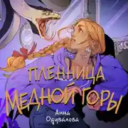 Постер книги Пленница медной горы