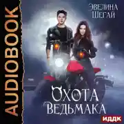 Постер книги Охота на ведьмака