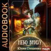 Постер книги Небо внизу