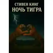 Постер книги Ночь тигра