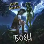 Постер книги Боец. Том 4