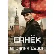 Постер книги Санёк