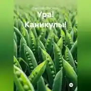 Постер книги Ура! Каникулы!