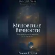 Постер книги «Мгновение Вечности»