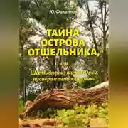 Постер книги Тайна острова Отшельника, или Шесть дней из жизни Юрки, пионера и пятиклассника