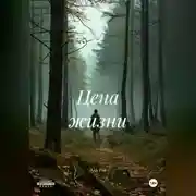 Постер книги Цена жизни