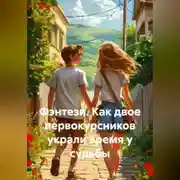 Постер книги Фэнтези. Как двое первокурсников украли время у судьбы.