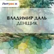 Постер книги Денщик