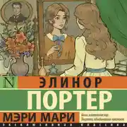 Постер книги Мэри Мари
