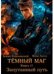 Илья Ангел - Тёмный маг. Книга 11. Запутанный путь