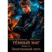 Постер книги Тёмный маг. Книга 11. Запутанный путь