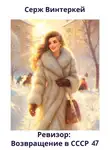 Серж Винтеркей - Ревизор: возвращение в СССР 47