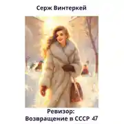 Постер книги Ревизор: возвращение в СССР 47