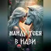 Постер книги Найду тебя в Нави