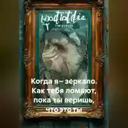Постер книги Когда я – зеркало. Как тебя ломают, пока ты веришь, что это ты