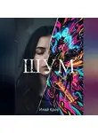 Илай Кроу - ШУМ