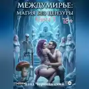 Постер книги «Междумирье: Магия без цензуры». Книга 3