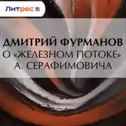 Постер книги О «Железном потоке» А. Серафимовича