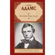 Постер книги Воспитание Генри Адамса