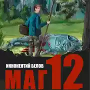 Постер книги Маг 12