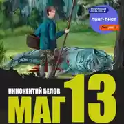 Постер книги Маг 13