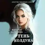 Постер книги Тень колдуна