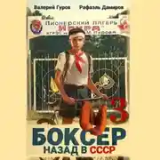 Постер книги Боксер 3: Назад в СССР