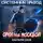 Константин Зубов - Системный приход. Орки под Москвой