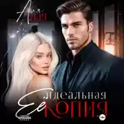 Постер книги Ее идеальная копия