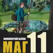 Постер книги Маг 11