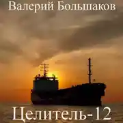 Постер книги Целитель. Малышка из Рио