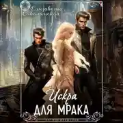 Постер книги Искра для Мрака