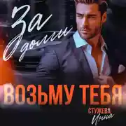 Постер книги За долги возьму тебя
