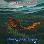 Постер книги Между двух миров