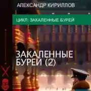 Постер книги Закалённые бурей 2