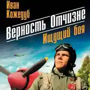 Постер книги Верность Отчизне. Ищущий боя