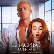 Постер книги Спасибо за ночь