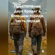 Постер книги Приключение двух бродяг в большом городе часть первая.