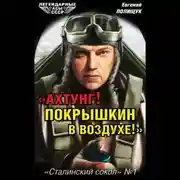 Постер книги «Ахтунг! Покрышкин в воздухе!». «Сталинский сокол» № 1