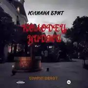 Постер книги Колодец Уиджи