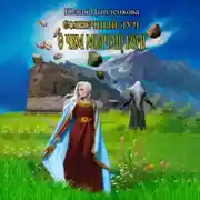 Постер книги Солнечный луч. О чем молчат боги