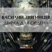 Постер книги Дырка для ордена