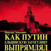 Постер книги Как Путин ельцинскую загогулину выпрямлял