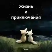 Постер книги Жизнь и приключения