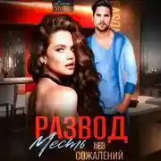 Постер книги Развод. Месть без сожалений