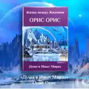 Постер книги Душа в иных Мирах