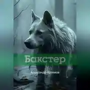 Постер книги Бакстер